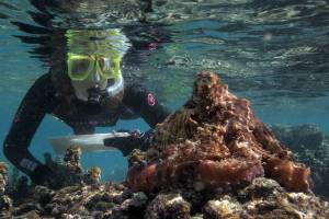 ‘Soul of an Octopus’ author arrives this week