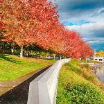 Sequim to send proposal to port for John Wayne Marina