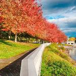 Leaders with the Sequim City Council members have agreed to send a proposal to the Port of Port Angeles to transfer ownership of the John Wayne Marina, seen here in mid-October, to the city. (Bob Lampert)