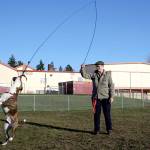 Port Townsend parks plan reels in survey results