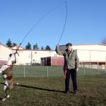 Eliza Staten of Port Townsend swings a toy for Jasper, her pit bull mix, under Tuesdays afternoon sun at the Mountain View Dog Park. (Brian McLean/Peninsula Daily News)