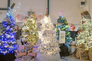 Most tickets still available for Festival of Trees events