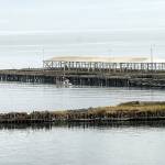 Port Angeles city manager outlines objections to Rayonier cleanup proposal