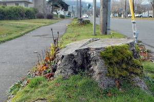 Peabody Street, Civic Field upgrades in the works