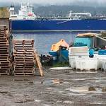 Cooke settles suit with Wild Fish Conservancy