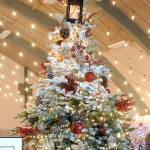 Festival of Trees Gala nets $115,000