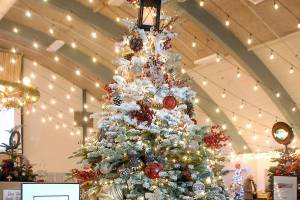 Festival of Trees Gala nets $115,000