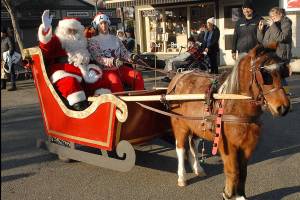 Community trees ablaze in lights in Port Angeles, Sequim