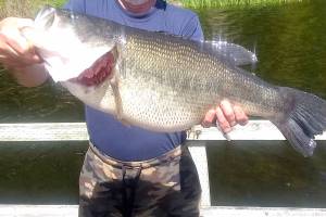 OUTDOORS: Warmwater species limit changes may go too far in effort to save salmon