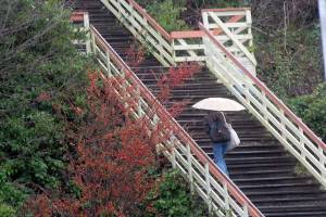Umbrella weather across Peninsula