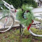 Port Townsend man enters Alford plea in death of bicyclist