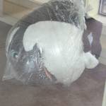 Sequim Sound Community Bank experiences two flooding incidents