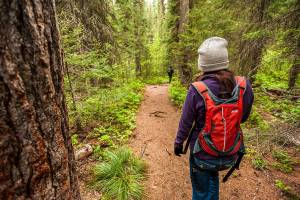 Hikes, free soup program planned for New Year’s Day