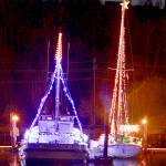 Port Angeles Boat Haven lights make merry