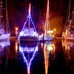 Port Angeles Boat Haven lights make merry