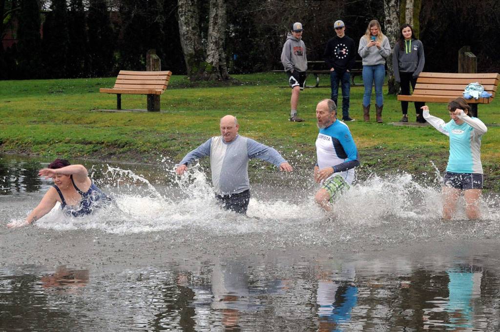 The brave enter the waters of Lake Pleasant while the not-so-brave look on at the popular Clallam County Park during the 2020 Polar Bear Dip. (Lonnie Archibald/for Peninsula Daily News)