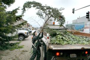 Time to take down the tree in Port Angeles