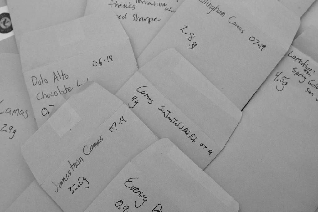 The many types of native seeds that were planted. (Tiffany Royal)