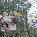 Winds, snow and cold: Peninsula to be shivering this week