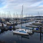 Port of Port Angeles commissioners discussed the future of John Wayne Marina. (Rob Ollikainen/Peninsula Daily News)