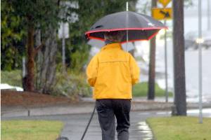 Getting through the gray days