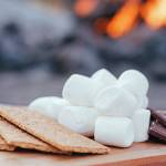 Llama Love, s’mores kits, pruning workshop and more set this weekend