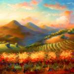 Stephanie Johnosns Napa Sunset