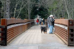 Above the Dungeness River