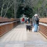 (Keith Thorpe/Peninsula Daily News)