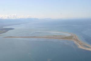 Clallam County Hearing Examiner Andrew Reeves has approved the first phase of Jamestown SKlallam Tribes planned oyster farm south of the Dungeness Spit. (Matthew Nash/Olympic Peninsula News Group)