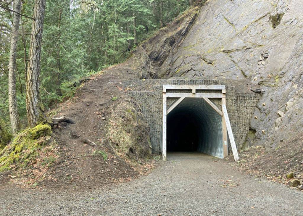 An entrance to the McFee Tunnel is shown Tuesday, Feb. 11, 2020. (Rob Ollikainen/Peninsula Daily News)