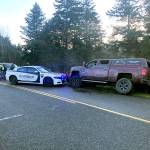 Alexander Warrick Wise pleaded guilty in Jefferson County Superior Court on Friday to felony eluding and driving under the influence of alcohol. A third charge for hit and run was dismissed as part of the plea agreement. (Jefferson County Sheriffs Office)