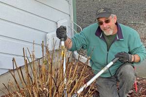 Pennies for Quarters, Great Decisions discussion set Thursday