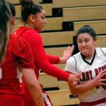 DISTRICT BASKETBALL: Neah Bay, Clallam Bay girls punch tickets to state regionals; Sequim girls and Forks boys stay alive
