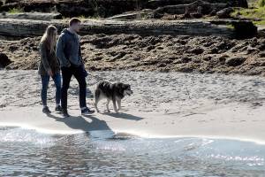 A beautiful day for a beach walk