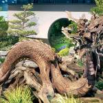 A driftwood dragon made for a breathtaking display at last years Northwest Flower and Garden Show. (Andrew May/For Peninsula Daily News)