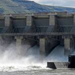 Feds reject removal of Snake River dams in key report