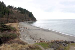 Navy eyeing SEALs training at state parks