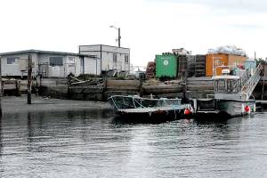 Cooke Aquaculture appeals ruling against fish farm