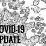 Transmission electron microscopic image of an isolate from the first U.S. case of COVID-19, formerly known as 2019-nCoV. The spherical extracellular viral particles contain cross-sections through the viral genome, seen as black dots. (Image provided by the Centers for Disease Control)