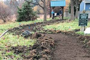 Volunteers wanted for Froggy Bottoms planting in Port Townsend