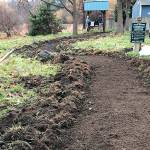 Volunteers are wanted for spring planting at Froggy Bottoms Stormwater site Saturday. (Lys Burden)