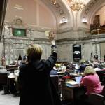 Democratic Sen. Lisa Wellman raises her hand during a vote in the state Senate on Thursday in Olympia. Lawmakers were finishing up their work amid concerns of the states COVID-19 outbreak. (Rachel La Corte/The Associated Press)
