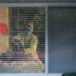 In this March 13, 2020, file photo, a nurse works in the room of a patient who has tested positive for the COVID-19 coronavirus at the Life Care Center in Kirkland near Seattle. Nursing home outbreaks of COVID-19 have raised concern in the U.S. since widespread infection at the Kirkland facility led to dozens of deaths. (Ted S. Warren/Associated Press file)