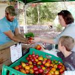 Port Townsend Farmers Market opening postponed