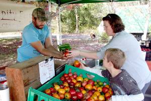 Port Townsend Farmers Market opening postponed