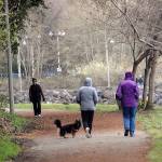 (Keith Thorpe/Peninsula Daily News)