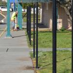 Security fence goes up at Helen Haller Elementary