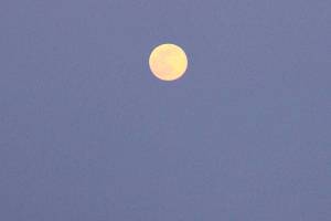 Supermoon on the rise