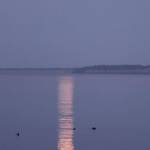 (Dave Logan/for Peninsula Daily News)